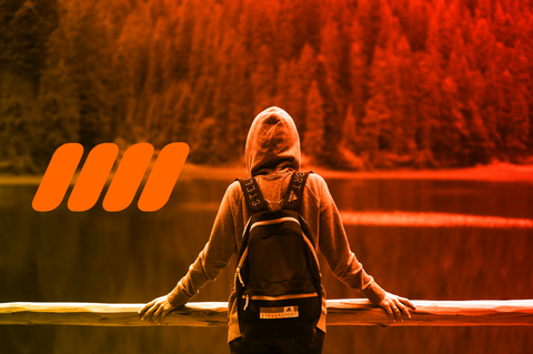 Recomendación de doberman